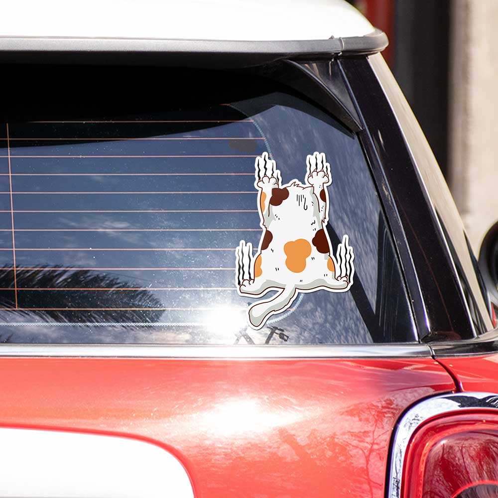 Cat Bumper Sticker