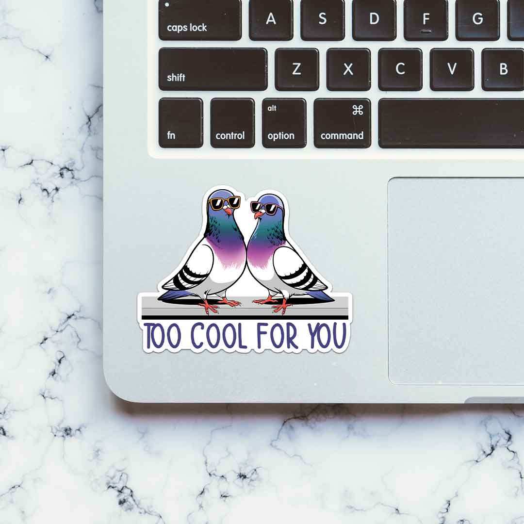 Too Cool For You Sticker