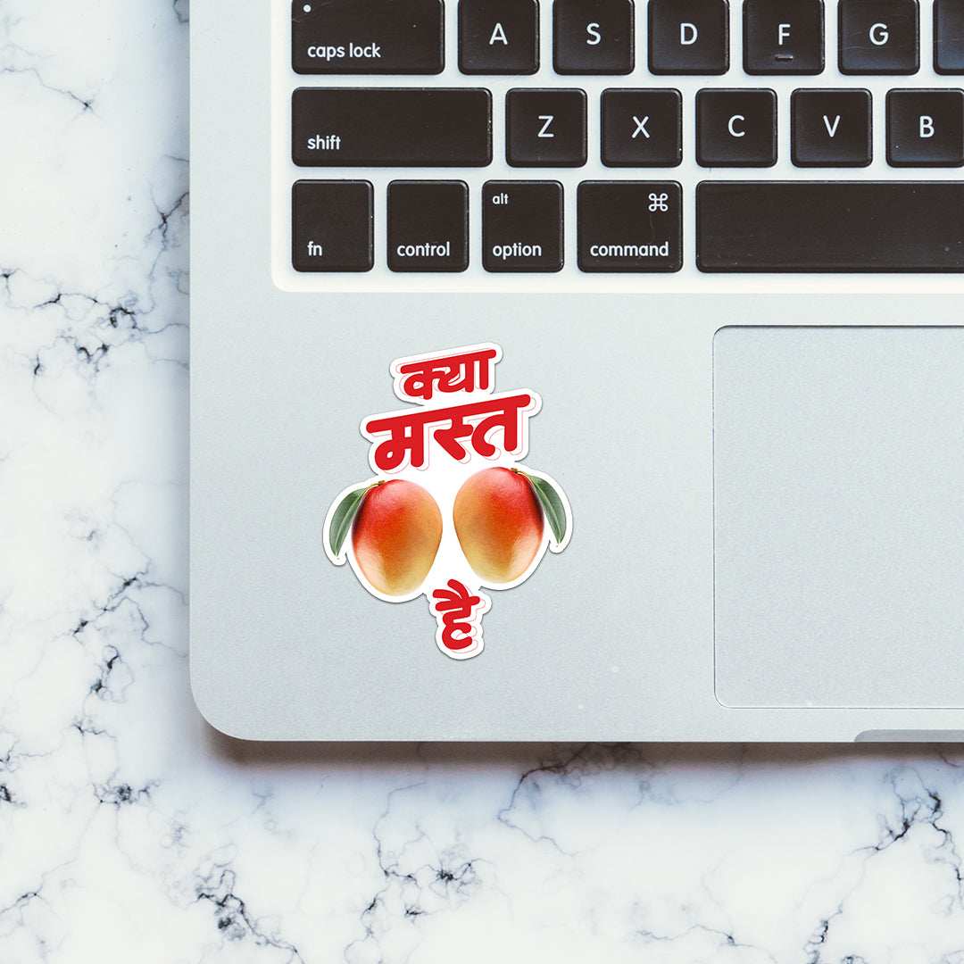 Kya Mast Aam Hai Sticker