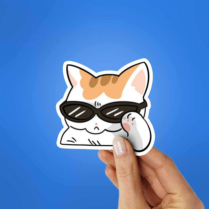 Rizz Cat Sticker