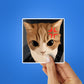 Angry Cat Meme Sticker
