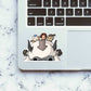 Avatar The Last Air Bender Cute Sticker Sticker waterproof vinyl decal for laptop, bike, car & bottle