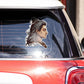 Dev Mahadev Bumper Sticker waterproof vinyl decal for laptop, bike, car & bottle