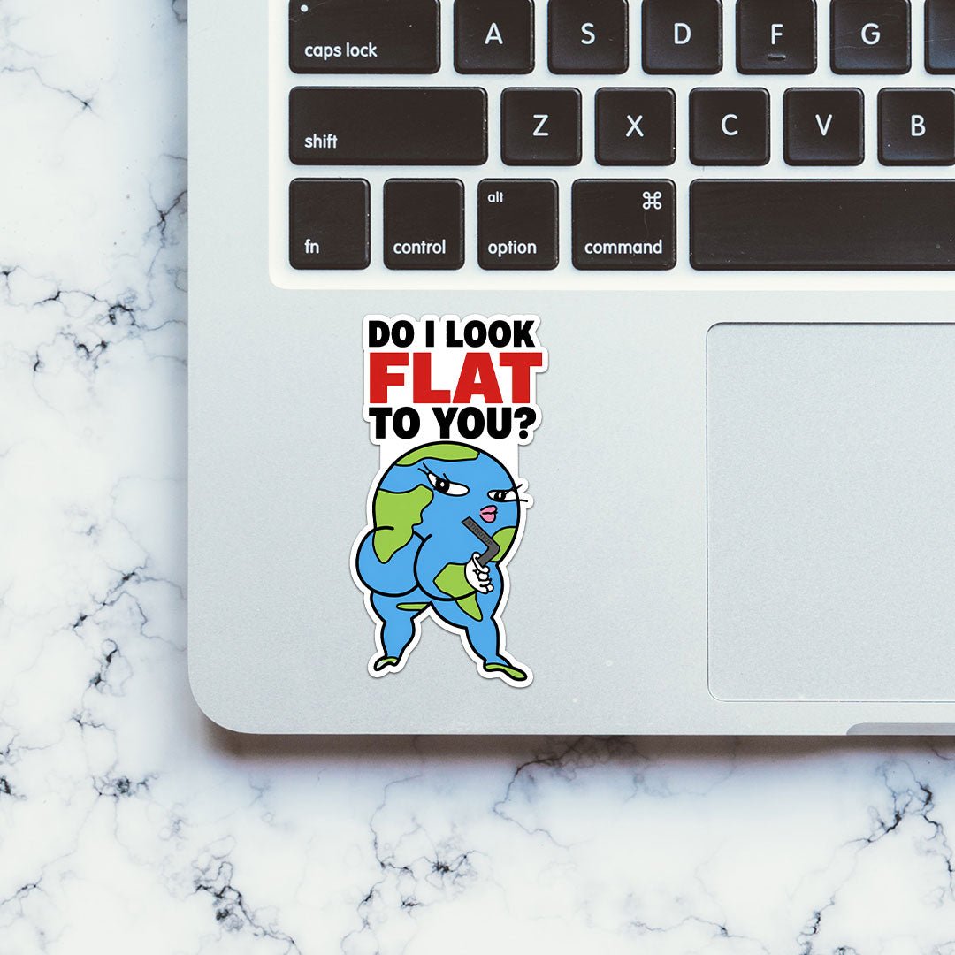 Do I Look Flat to You Sticker - Stickers | STICK IT UP