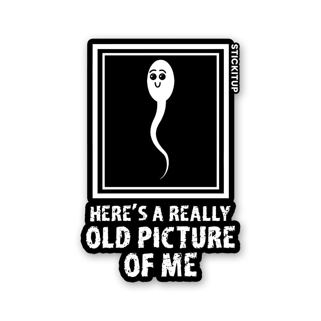 HERE'S A REALLY OLD PICTURE OF ME Sticker - Stickers | STICK IT UP