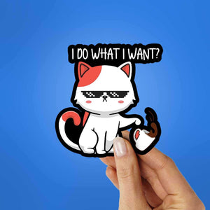 I Do What I Want Sticker waterproof vinyl decal for laptop, bike, car & bottle