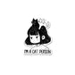 I'M A Cat Person Sticker waterproof vinyl decal for laptop, bike, car & bottle