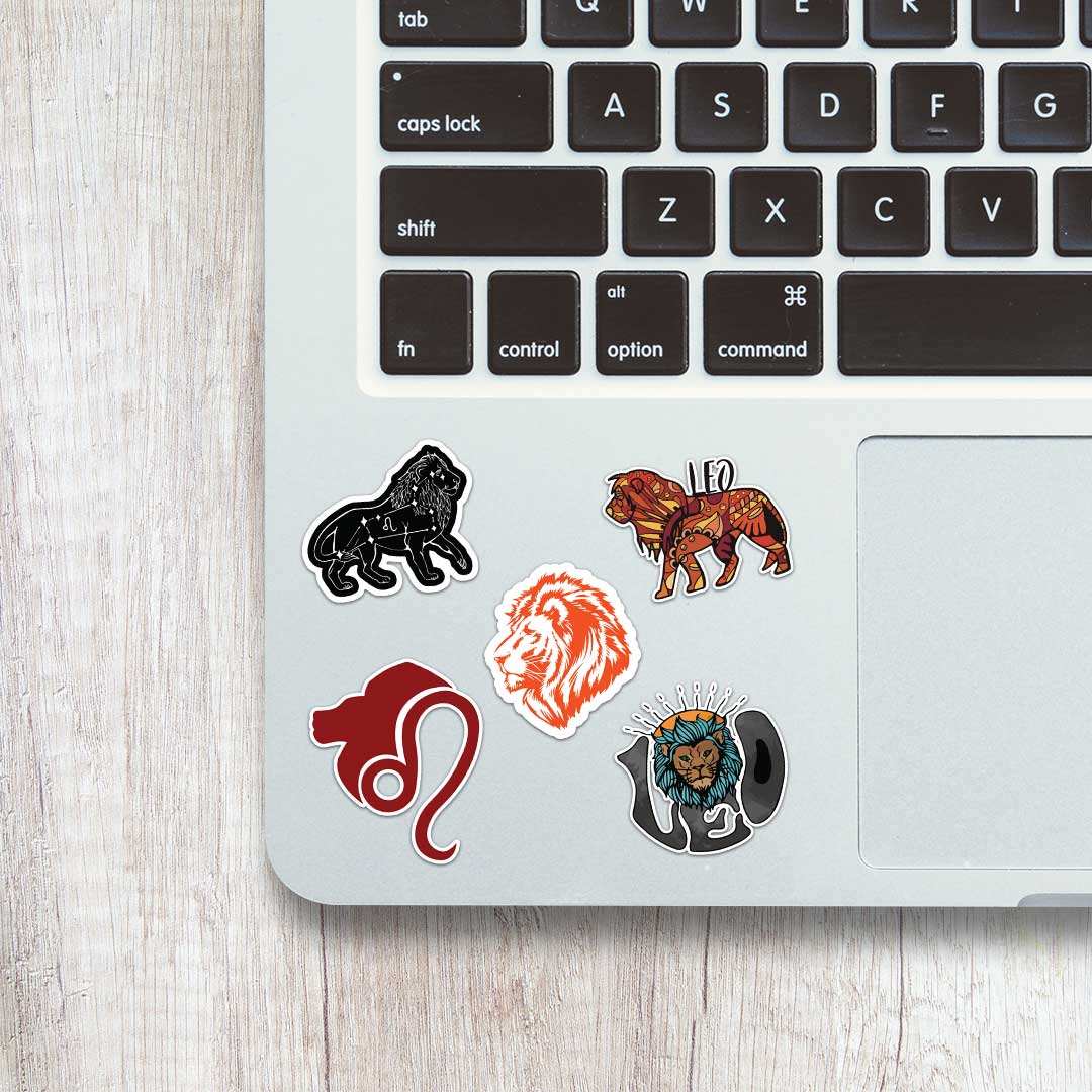 Leo Sheet waterproof vinyl decal for laptop, bike, car & bottle