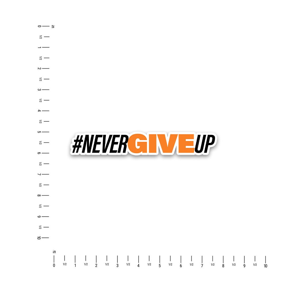 Never give Bumper Sticker waterproof vinyl decal for laptop, bike, car & bottle