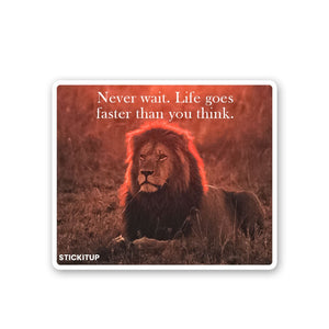 Never wait Sticker waterproof vinyl decal for laptop, bike, car & bottle