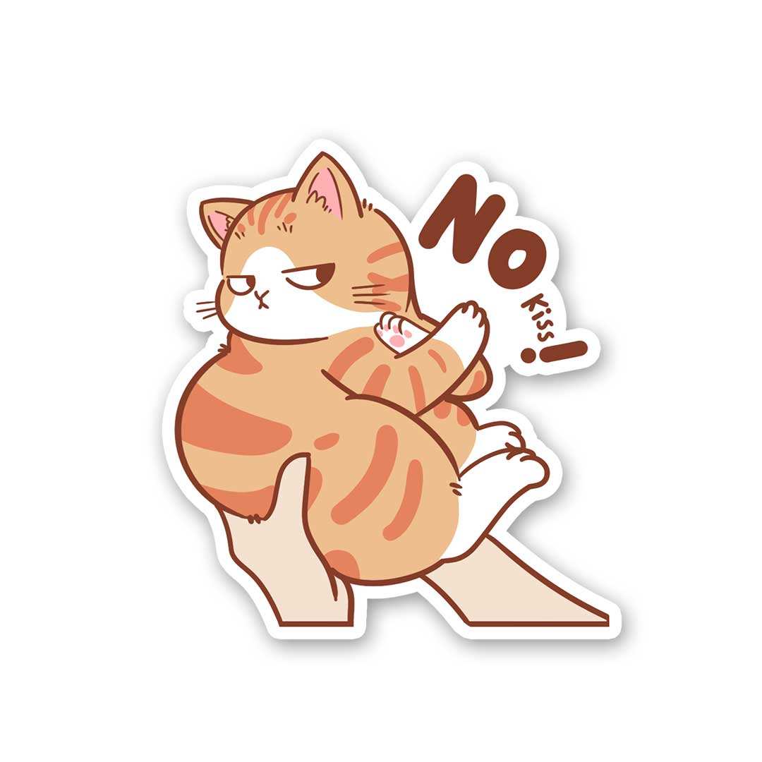 No Kiss Sticker waterproof vinyl decal for laptop, bike, car & bottle
