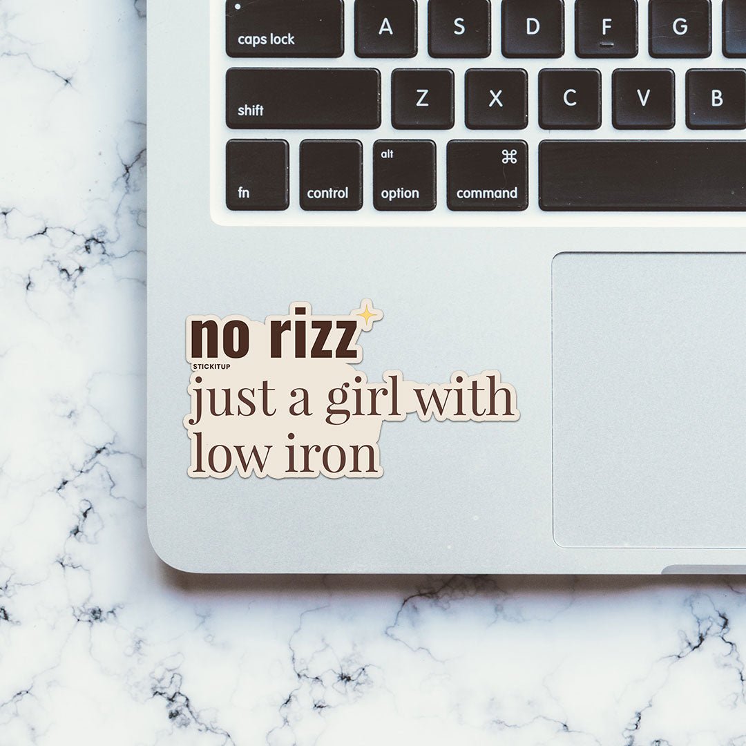 No Rizz Sticker waterproof vinyl decal for laptop, bike, car & bottle