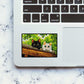 Peeking Black and White Cats Glitter Sticker