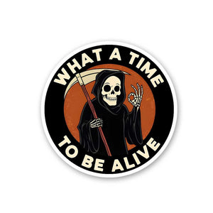 What A Time To Be Alive 0.1 Sticker waterproof vinyl decal for laptop, bike, car & bottle