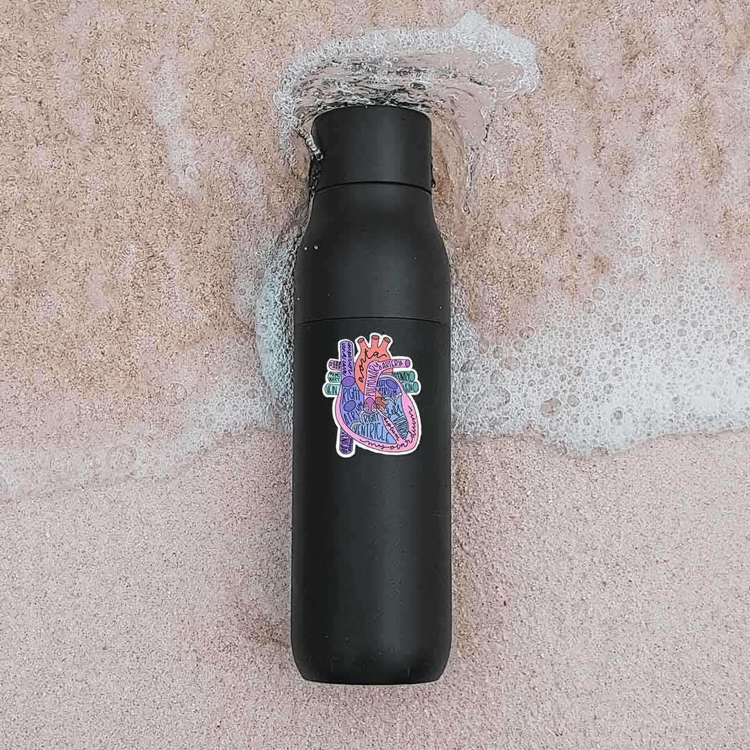 Anatomy Of Heart Sticker - STICK IT UP