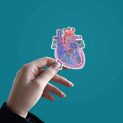 Anatomy Of Heart Sticker - STICK IT UP