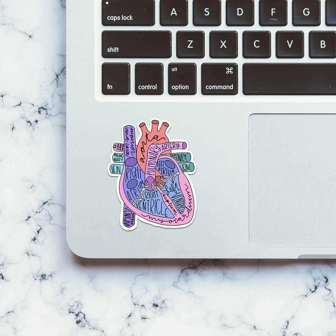 Anatomy Of Heart Sticker - STICK IT UP