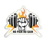 No Pain No Gain Sticker waterproof vinyl decal for laptop, bike, car & bottle